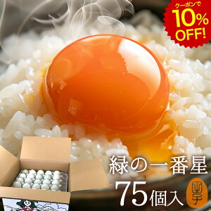 [N[|10%OFF!12/11 1:59]   ΂̈Ԑ ܂ Mtgy75(60+jۏ15)z A[Ji 剩{Y  uh ΂̗ gC ̂ J