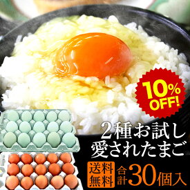 楽天スーパーSALE 10%OFF 新鮮たまご2種選べるお試しセット【生卵合計30個入(生卵25個+破損保証5個)】 緑の一番星 15個+にんにく卵or平飼い有精卵15個 卵 玉子 たまご 高級 卵かけご飯に お試し 食べ比べ ギフト 送料無料 青い卵 お取り寄せ グルメ セール