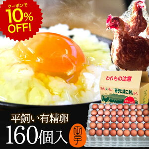 [N[|10%OFF!12/11 1:59]   L  Mtgy160(128+jۏ32)z gC ̂ J[h ŃXgXȂ̂т̂ш