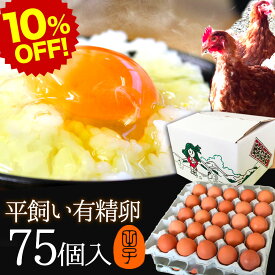 楽天スーパーSALE 10%OFF 有精卵【生卵75個入(生卵60個+破損保証15個)】卵 玉子 たまご 高級 卵かけご飯に ギフト 飲んでも美味!甘く濃厚 生臭さ無し 平飼いでストレスなくのびのび育った鶏が産む健康タマゴ 筋トレ ダイエット 高波動 お取り寄せグルメ セール