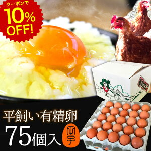 [N[|10%OFF!12/11 1:59]   L  Mtgy75(60+jۏ15)z gC ̂ J[h ŃXgXȂ̂т̂ш{