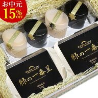 お中元応援 15%OFF 生卵 高級 緑の卵プリン+卵が選べるスイーツセット ギフト【選べる卵2種類＋プリン4個…