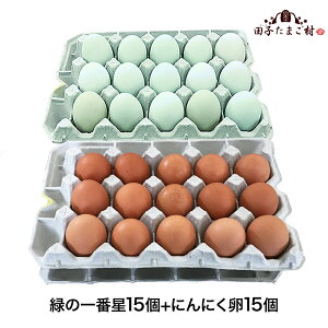 [N[|10%OFF!9/11 1:59]    ΂̈Ԑ ܂ Mtg VN܂2Iׂ邨Zbgy30(25+jۏ5)z A[Ji 剩{Y  u