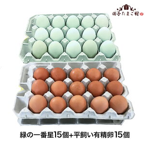    ΂̈Ԑ ܂ Mtg VN܂2Iׂ邨Zbgy30(25+jۏ5)z A[Ji 剩{Y  uh ΂̗ ̂ J[h