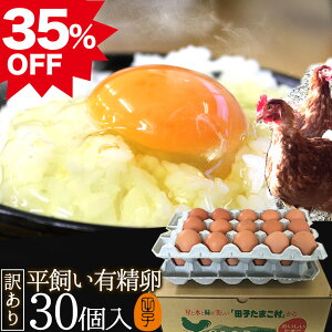 �X�n�k�~�� 35%OFF ������ �������� �������L���� ���� �� ���܂� �󂠂� �^�C���Z�[�� �N�������y����30��(����25��+�j���ۏ�5��)�z2�Z�b�g�ȏゲ�w���ł��܂��t��! ���������� �������ŃX