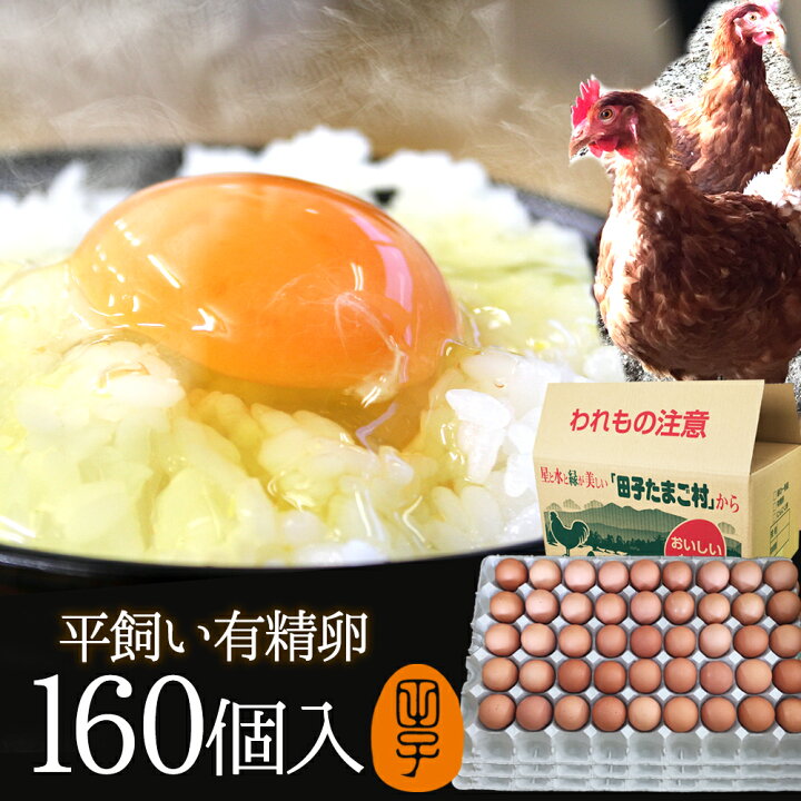 楽天市場】卵 平飼い 平飼い卵 平飼い有精卵 高級 ギフト【生卵160個入 