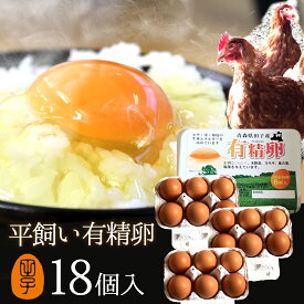 有精卵【生卵18個入】卵 玉子 たまご 高級 卵かけご飯に 生臭さ無し 平飼いでストレスなくのびのび育った鶏が産む健康タマゴ 筋トレ 生卵を飲む方もおすすめ 平飼い有精卵 ギフト お取り寄せグルメ 2024 食べ物 実用的