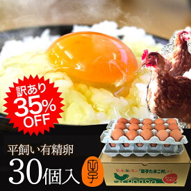 楽天スーパーSALE 訳あり35%OFF! 平飼い有精卵 【生卵30個入(生卵25個+破損保証5個)】卵 玉子 たまご 高級 2セット以上ご購入でおまけ付き! 卵かけご飯に 生臭さ無し 平飼いでストレスなくのびのび育った鶏が産む健康タマゴ 筋トレ お取り寄せグルメ セール ※日時指定NG