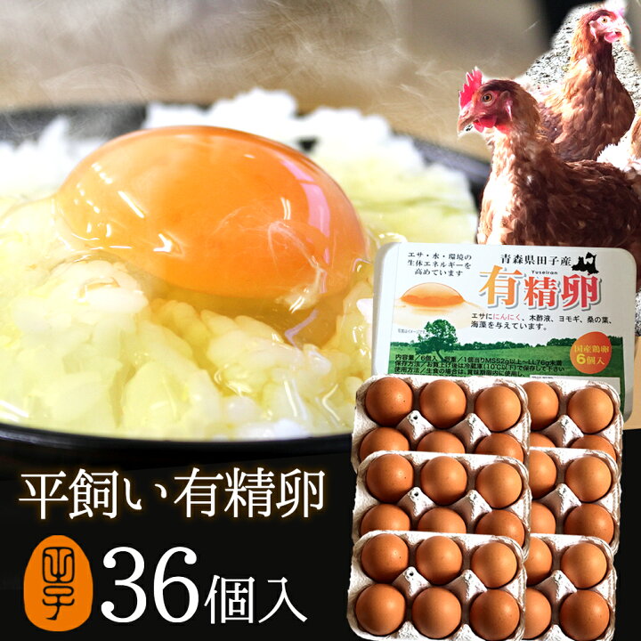 楽天市場 卵 玉子 たまご 高級 卵かけご飯に 有精卵36個入り 飲んでも美味 甘く濃厚 ギフト 平飼いでストレスなくのびのび育った純国産鶏産む健康 タマゴ 肉体改造 免疫力 筋トレ ダイエット 生卵を飲む方もおすすめ 平飼い有精卵 高波動 田子たまご村 楽天市場店