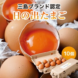 ＼ZIPで紹介！／ ブランド生たまご 日の出たまご 10個セット 驚きの弾力★数量限定の卵 卵がけごはん ゆでタマゴにも ギフトセット お中元ギフト 御中元 贈り物 贈答 誕生日プレゼント お祝い プチギフト TAMAGOYA 冷蔵便