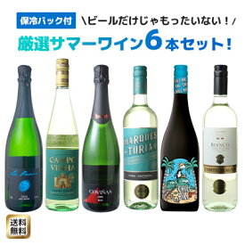 【送料無料】ワインセット サマーセット スパークリングワイン 白ワイン 保冷バッグ 夏ワイン 6本セット 2025年度版 第14弾【Pup】