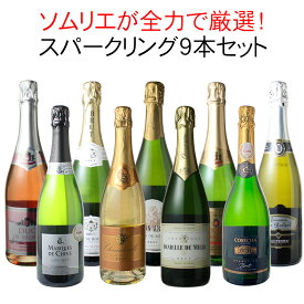 【送料無料】 ワインセット 全力全開 スパークリングワイン 9本 セット シャンパン入 カヴァ入 辛口 飲み比べ ソムリエ厳選 ワイン シャンパーニュ カバ wine 御祝 誕生日 結婚祝い ギフト プレゼント 第19弾 【沖縄・離島は別料金加算】【CHS】