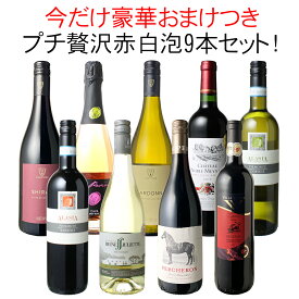 【送料無料】ワインセット ワイン プチ贅沢 全部入り 9本 赤ワイン 白ワイン スパークリング 飲み比べ ソムリエ厳選 ギフト プレゼント 御祝 誕生日 結婚祝い 第28弾