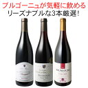 【送料無料】ワインセット ブルゴーニュ 3本 セット 赤ワイン ピノ・ノワール お気軽ブルゴーニュ 家飲み ギフト 御祝 誕生日 結婚祝い プレゼント 第47弾