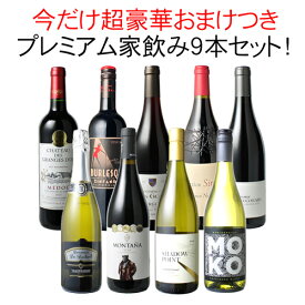 【送料無料】 ワインセット プレミアム 家飲み ワイン 9本 セット 赤ワイン 白ワイン スパークリングワイン 飲み比べ ソムリエ厳選 贅沢 ミックスセット フルボディ 御祝 誕生日 結婚祝い ギフト プレゼント 第25弾