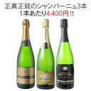 【送料無料】ワインセット シャンパン 3本 セット シャンパン製法 瓶内二次発酵 ギフト 家飲み 御祝 誕生日 結婚祝い プレゼント パーティー 第45弾