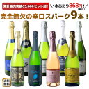 【送料無料】ワインセット スパークリング ワイン 9本 セット 1本あたり868円(税抜789円)辛口 カヴァ入 シャンパン製法入 ギフト 御祝 誕生日 プレゼント パーティー 夢の9本 ソムリエ厳選 カバ ワイン wine cava ドライ 第171弾