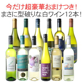 【送料無料】ワインセット 渾身 白ワイン 12本 セット ボルドー ラングドック イタリア フランス ドイツ チリ 型破り白 第56弾【Pup】