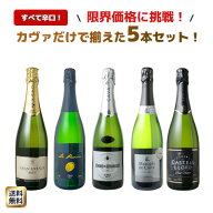 【送料無料】ワインセット カヴァ 5本 セット 辛口 シャンパン製法 瓶内二次発酵 スパークリングワイン …