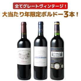 【送料無料】ワインセット 2015年 ボルドー 当り年 3本セット ギフト プレゼント 赤ワイン ビッグ・ヴィンテージ ソムリエ厳選 御祝 誕生日 送別 記念品 第98弾