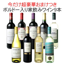 【送料無料】ワインセット 家飲み ワイン 9本 セット ボルドー入 赤ワイン 白ワイン デイリーワイン 飲み比べ パーティー おうちで満喫 ギフト 御祝 誕生日 結婚祝い 第109弾