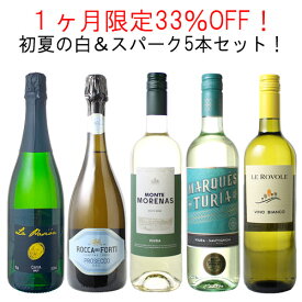 【送料無料】1ヶ月限定33%OFF！初夏の白＆カヴァ入りスパーク 5本セット！ イタリア フランス カヴァ 期間限定 5月31日まで【Pup】