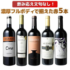 【送料無料】ワインセット 濃厚 フルボディ 赤ワイン 5本 セット ボルドー マディラン イタリア スペイン 飲みごたえ文句なし 敬老の日 ギフト プレゼント 第52弾