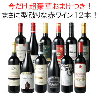 【送料無料】ワインセット 渾身 赤ワイン 12本 セット ボルドー フランス イタリア スペイン ポルトガル …