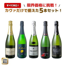 【送料無料】ワインセット カヴァ 5本 セット 辛口 シャンパン製法 瓶内二次発酵 スパークリングワイン カヴァだけ ワイン カヴァセット 父の日 ギフト プレゼント 御祝 ソムリエ厳選 カバ 飲み比べセットスペイン cava wine ドライ 第68弾