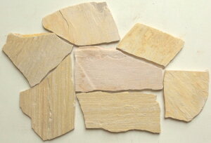 yVR΁zsArmCG[ts`t [P[X̔ 0.5ē]