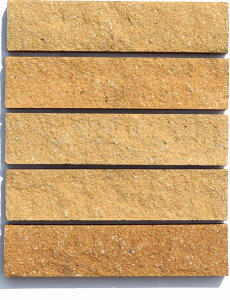 yEIIP[X̔zs ebZNtg t@{[_[^CINAX-N/6 [51s[X]