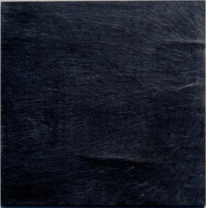 s  ty VR  z 450mmp [ s[X̔ ]