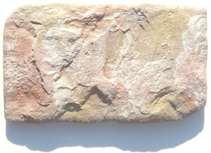 styyʃ^CzFO-3C mP[X̔ 1ēn