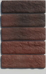 styyʁE{[_[^CzSA-1HmP[X̔ 1ēn