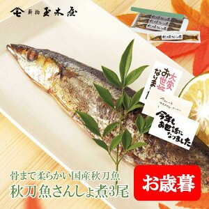 Vʖ؉ H񂵂 3 ϔ | Y sv ۑEFsgp 퉷 ܖ100  y  ͂ Z  Mtg lߍ킹 