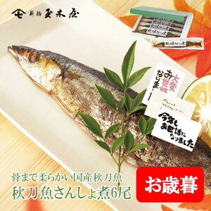 Vʖ؉ H񂵂 6 ϔ | ώ Y sv ۑEFsgp 퉷 ܖ100 Mtg  ̕i y  ͂ Z  