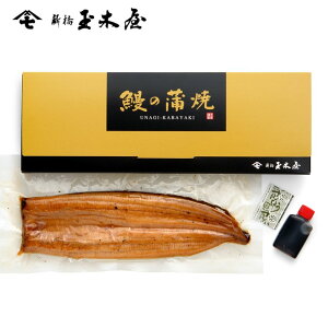 Vʖ؉ V̊ |  V  蕨 Hi    ̕i َqȊO y A yY Z  Mtg  ܂ Ȃ 퉷 񂹃O  v