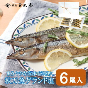 Vʖ؉ HQh 6胏CoPbgƈꏏɂǂB  I[KjbN p[eB[ y yY 񂹃O Z ͂ Mtg v[g  