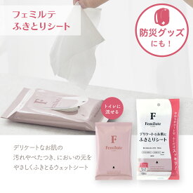 【 365日出荷 】フェミルテ デリケート ふきとりシート | 生理用品 女性 トイレに流せる ウェットシート ヒアルロン酸Na 無香料 無着色 低刺激 アルコールフリー モモ葉エキス 保湿 タマガワエーザイ ウェットティッシュ デリケートゾーン フェミニンケア