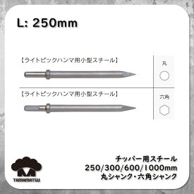 チッパー用 スチール 【250mm】 ライトピックハンマー チゼル 中谷機械 東空販売 TOKU モイルポイント はつり AA-0B AA-1.3B AA-3B TYC-6B