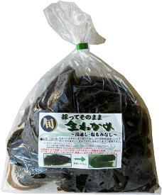 ＼期間限定／【石巻十三浜産】採ってそのまま生わかめ500g【冷蔵】