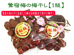 ydg~z_ g~ꋉi300gih~EVREĵ̔~