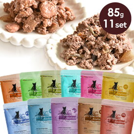 【数量限定商品】キャッツファインフード クラシック アソートセット 85g 11個セット 猫 キャットフード ウェットフード