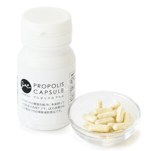 J&C v|XJvZ iLpj 60@Tvg Ɖu VjA h{⏕