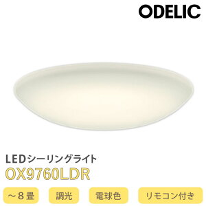 �yLINE�F�����ǉ��ŃN�[�|���z�z���zOX9760LDR �I�[�f���b�N LED�V�[�����O���C�g ���� �d���F 8�� �����R���t��