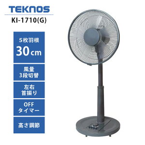 eNmX TEKNOS @ KI-1710G 30cmrOJ O[ tbgK[h AC[^[ ʐؑ EU ^C}[ KI-1710iGj