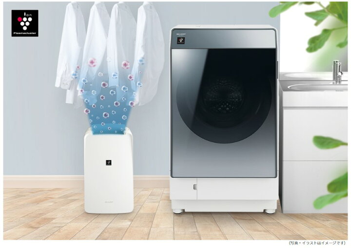 楽天市場】SHARP シャープ 衣類乾燥除湿機 コンプレッサー方式 