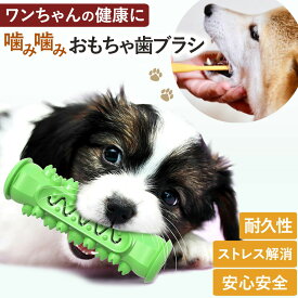 犬用おもちゃ 噛んで歯磨き 犬 ストレス解消 歯 ケア 健康 ペット ワンちゃん 安心 安全 愛犬 歯のクリーニング 耐久性 投げても遊べる 口臭予防 清潔 グリーン いぬ デンタルケア イヌ 歯磨き 歯みがき デンタルクリーニング 犬の口臭