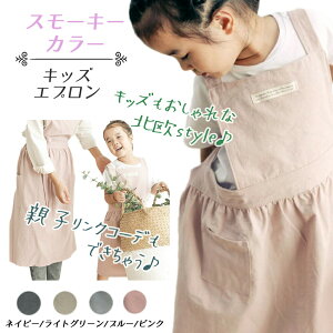 Gv LbYGv n k qǂ tA XJ[g  킢 Vv Rbg i` Gv yA eq v[gq g100`120 傫TCY 