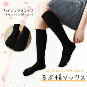 5{w\bNX fB[X 2Zbg nC\bNX ubN Rbgf ʋC z Xgb` ₦΍ Ch~ Ȃ ʋ ʊw d zCgf[Mtg ̓ ̓ hV